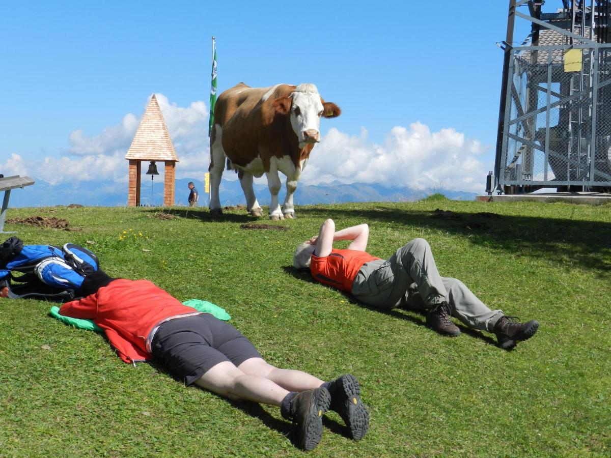 Ferienhaeuser Thalbach ハイリゲンブルート エクステリア 写真